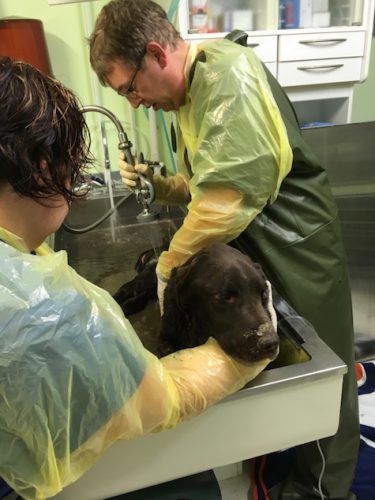 Source: CBC/Cindy Billesberger/Facebook