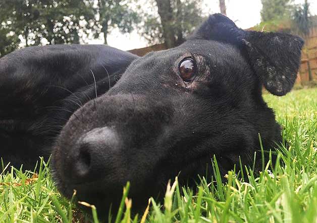 Source: Imgur/Rasengan2012