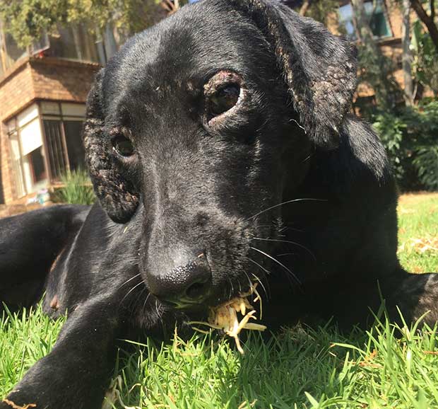 Source: Imgur/Rasengan2012