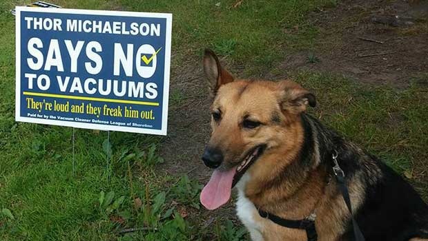 Dog Runs Political Campaign Against Vacuums and It’s the Cutest Thing