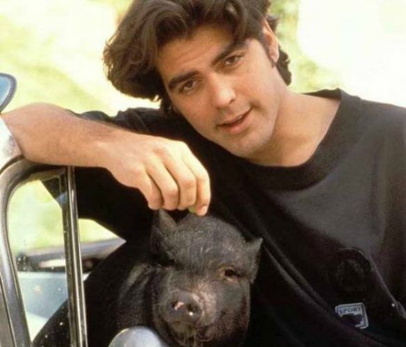 George Clooney with Max Source: buzzlie.com