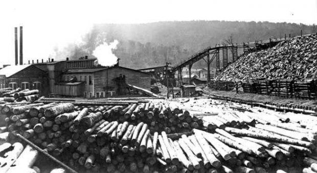 Source: The Mountain State Railroad & Logging Historical Association