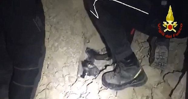 Rescue Workers Save Dog Trapped Overnight in Italian Earthquake Rubble