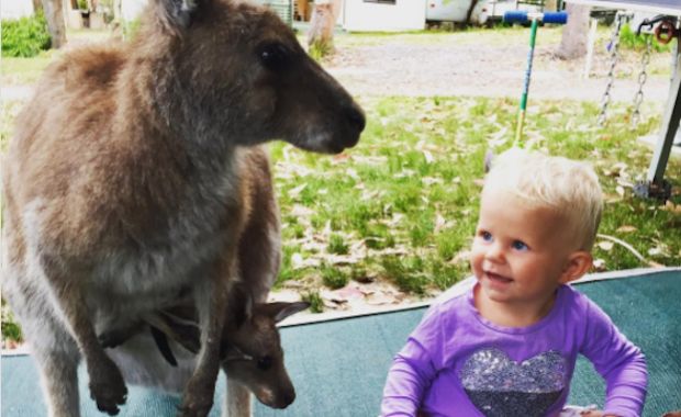 Source: tripinavan Instagram