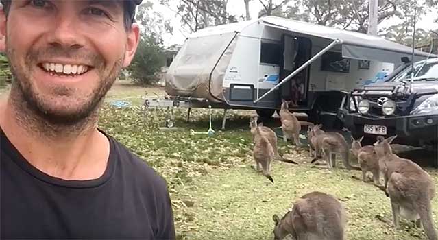 Kangaroo Crashes Family’s Meal in Search of Snacks, Gets Some Then Brings All His Friends Back for More