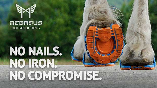 Company Wants to Take the Lead Out of Horseshoes With These Clip-ons