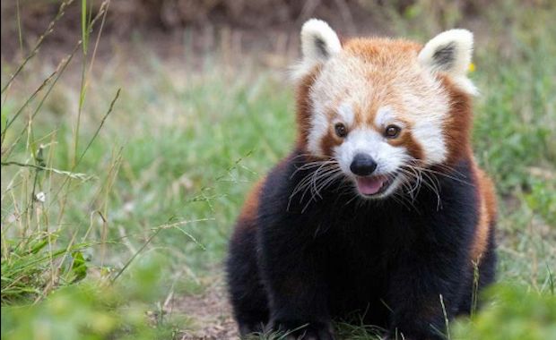 Source: Marianne Hale