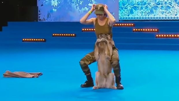 This Military-Themed Dog Show Routine Will Have You Saluting Both Human and Dog