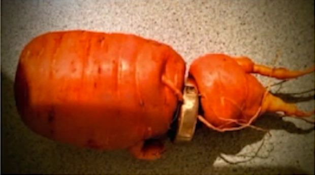 3 Years After Losing Wedding Ring, German Man Finds It Wrapped Around a Carrot in His Garden