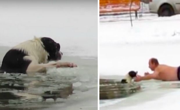 Shirtless Man Saves Dog After Slipping Into Icy Pond and Gets Biting Reward