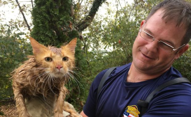 Firefighters Rescue Founding Father – ‘Thomas Jefferson’ the cat – on Election Day