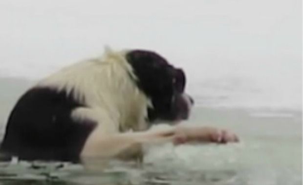 Source: Viral Thread/Facebook