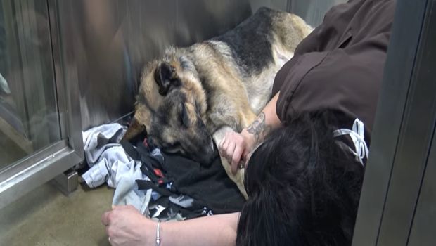 Source: YouTube/Hope For Paws