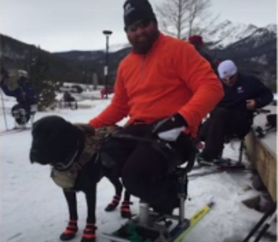 Source: America's VetDogs/You Tube