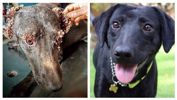 Source: Imgur/Rasengan2012