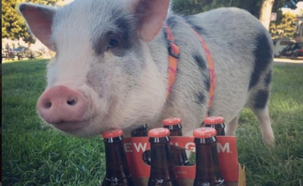 Source: lilu_sfpig/Instagram