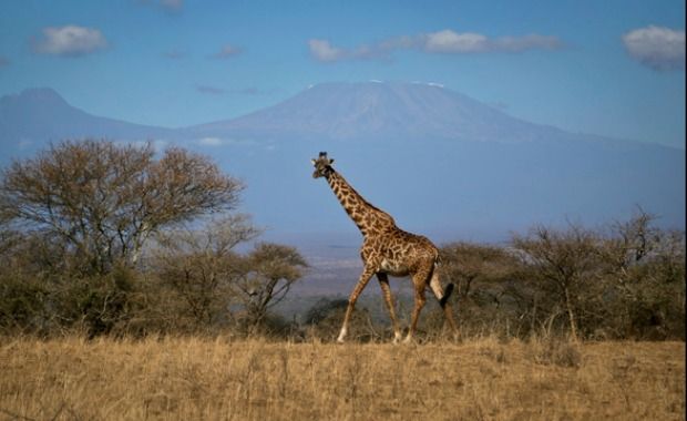 Source: AP/Khaled Kazziha