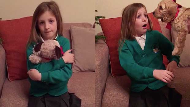 Parents Grant Christmas Wish by Turning Daughter’s Beloved Stuffed Animal Into Real Life Puppy
