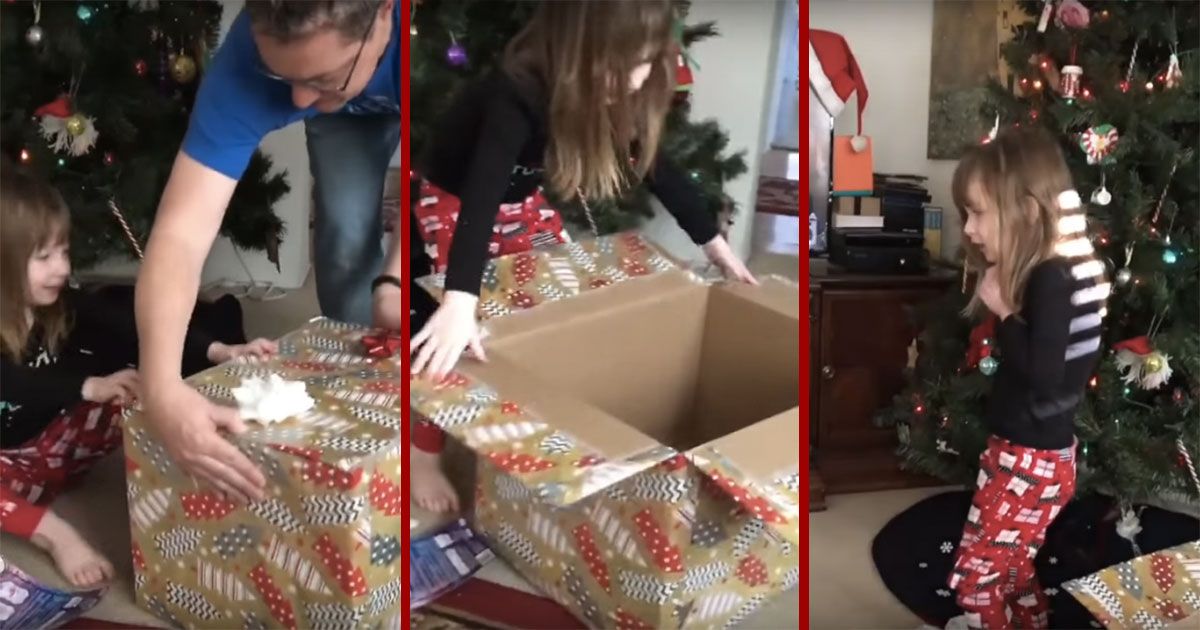 Cat Purr-fectly Times Christmas Box Escape