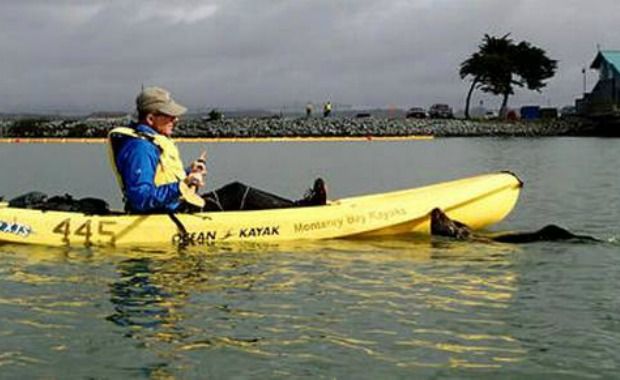 Source: Heather Van Nes/AP