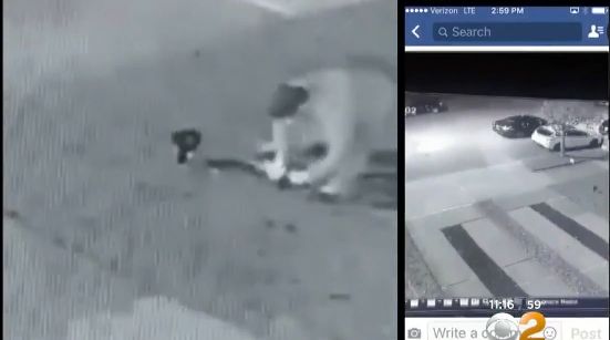 Guilt-Stricken Robber Returns Stolen Christmas Lights After Video of Theft Posted on Facebook