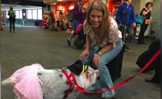 Source: sfyorkiedino/Instagram