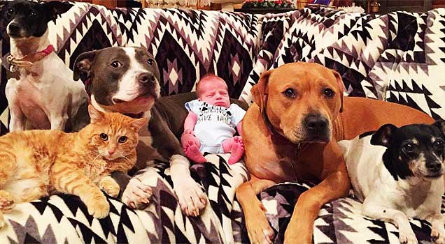 Family Who Adopted 7 Pets Now Have Their Pets Adopting Newborn Baby