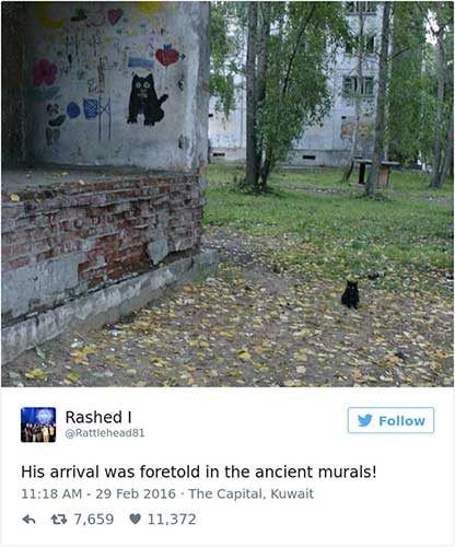 cattweets_murals