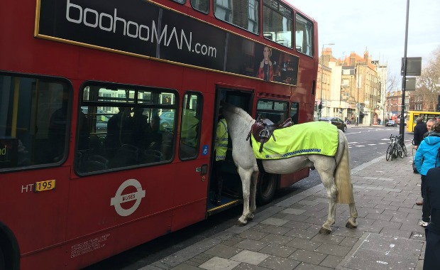 Source: Simon Crowcroft/Twitter