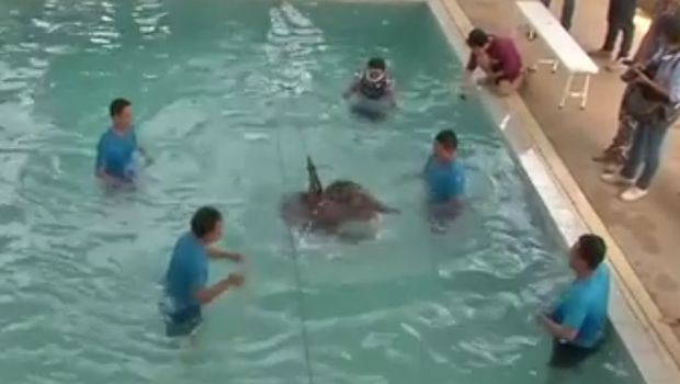 Image source: New York Post