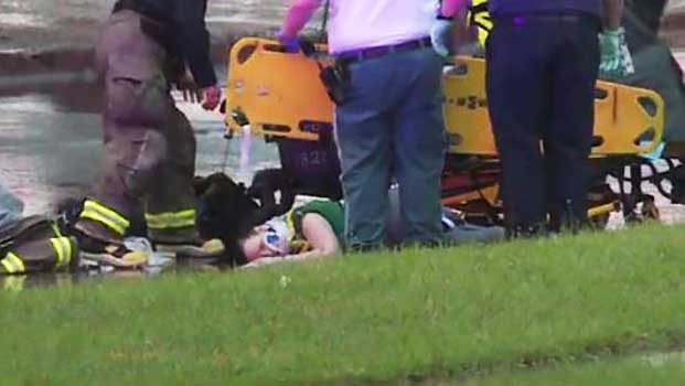 Mom and Baby Fell 30 Feet Off Bridge, but What She Did in Midair Saved Its Life