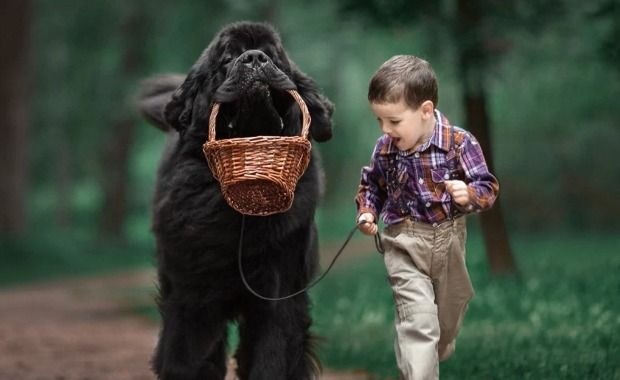 Source: Andy Seliverstoff Photography/Facebook