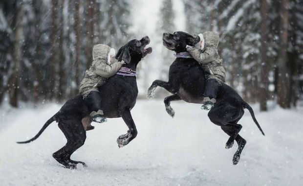 Source: Andy Seliverstoff Photography/Facebook