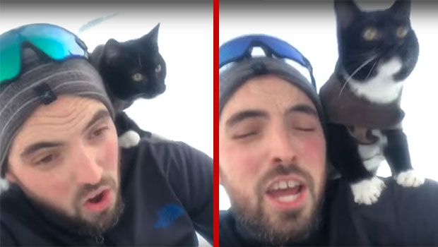 Photographer and His Cat Go Sledding Together in the Washington Snow