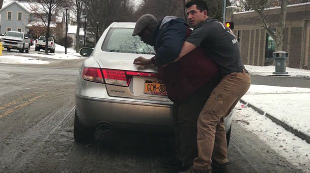 Source: YouTube/Town and Country Pest Solutions INC.