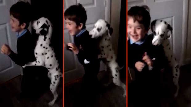 This Dalmatian Adores a 5-Year-Old Boy So Much He Won’t Let Him Leave for School