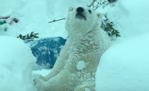 Source: The Oregonian/YouTube