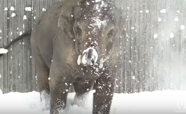 Source: The Oregonian/YouTube