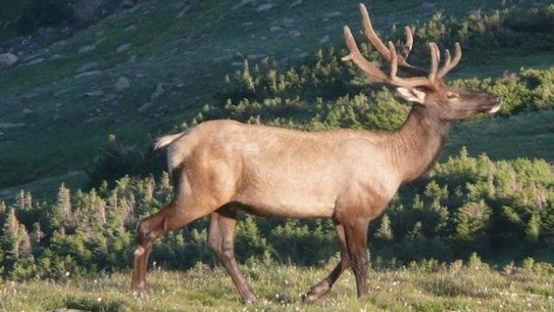 James Watson Climate Change