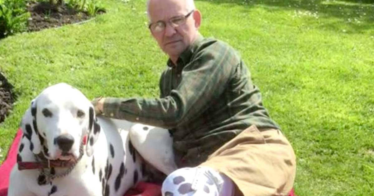 Diabetic Pays Tribute to Dalmatians Who Pulled Him Out of Depression With Spotted Prosthetics