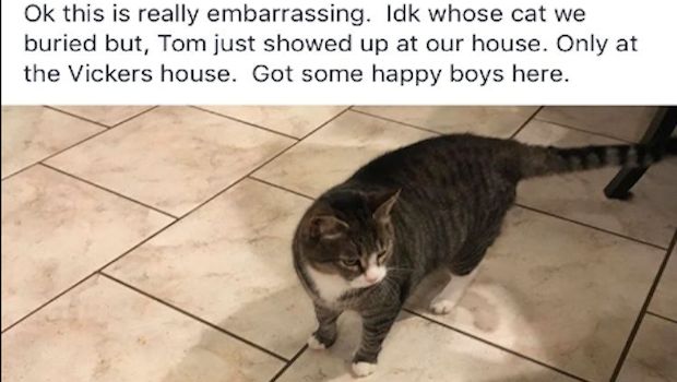 Woman Mistakenly Buries the Wrong Cat