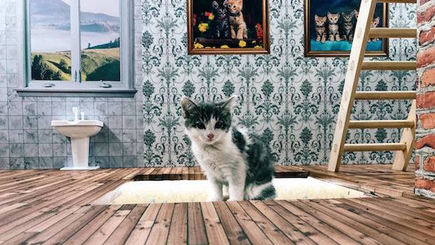 ‘Keeping Up With the Kattarshians’ is Real, It Stars Cats, and It’s Must-Watch