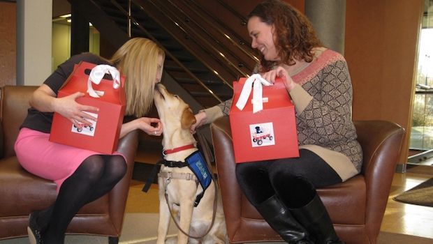 Have a Puppy Deliver Your Valentine’s…Because Honestly, Why Wouldn’t You?