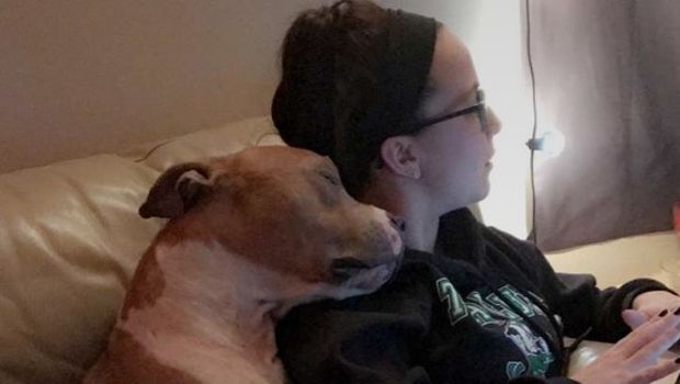 This Rescue Dog and His New Owner Are Already Best Friends
