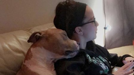 This Rescue Dog and His New Owner Are Already Best Friends