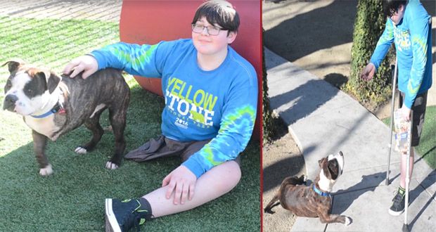 Front Street Animal Shelter