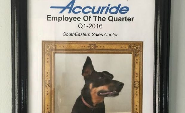 Home Office Dog Wins ‘Employee of the Quarter’ Award