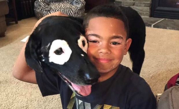 Boy and Dog Who Bonded Through Vitiligo Finally Meet