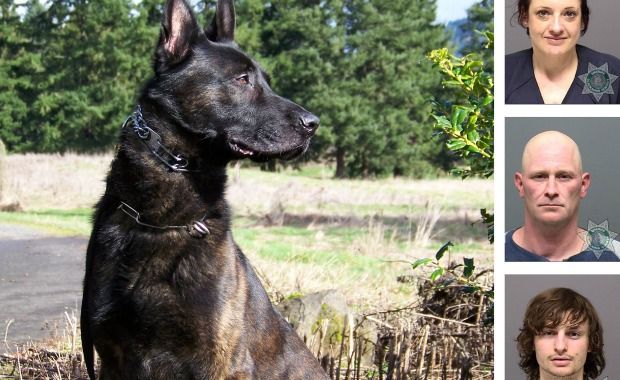 This K9 Nabbed Three Criminals in a Record 90 Minutes