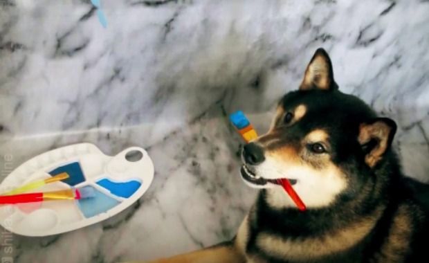This Pup ‘Paw-casso’ Will Paint for Treats